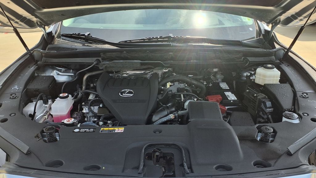 2023 Lexus RX 350 Luxury