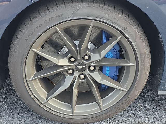 2025 Ford Mustang Dark Horse