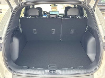 2026 Ford Escape Hybrid ST-Line Select