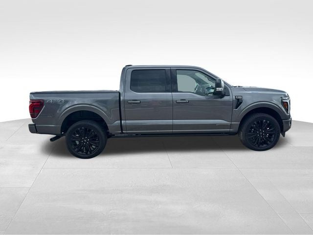 2025 Ford F-150 Platinum - Photo 11